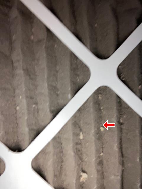 Close-up of a heavily soiled pleated air filter with a red arrow on the dust