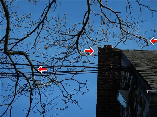 Bare tree branches overhanging a roof and brick chimney, red arrows at branches and service wires