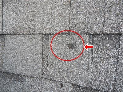 Close-up of gray asphalt shingles with a red circle and arrow around a small hole in one shingle