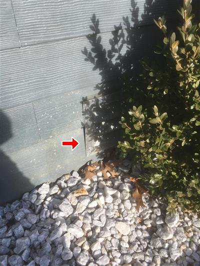 Red arrow at a fresh-air vent low on a dark-sided wall, partly hidden by an evergreen shrub above a gravel bed