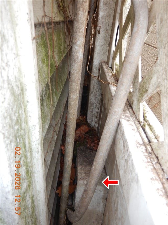 Decay and growth in a narrow side yard, out of sight from both houses.