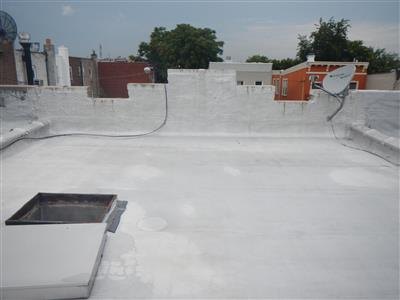 White-coated flat roof with parapet walls, a roof hatch, and a skylight curb, no vents visible.