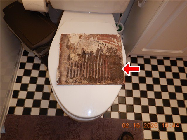 The back of a removed ceramic tile resting on a toilet lid, mold along the adhesive ridges, marked with a red arrow.