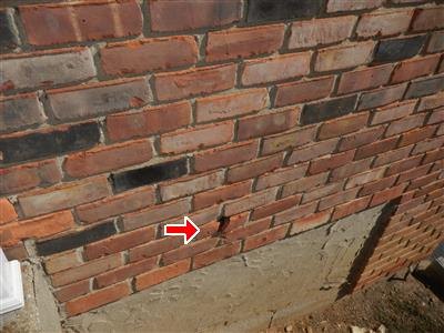 Brick veneer wall above a concrete foundation, with a red arrow at a broken brick that has a piece missing.