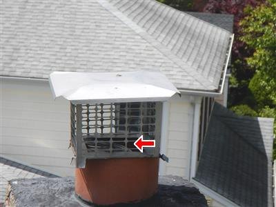 Clay chimney flue with a screened stainless rain cap, red arrow pointing at the metal liner visible inside the screen