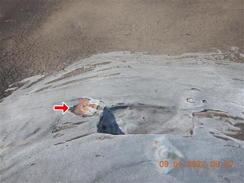 Silver-coated roof with a red arrow at peeling flashing cement exposing dark membrane