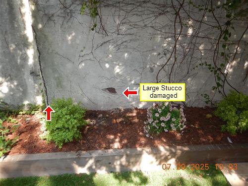Stucco wall above a planting bed with a hole and crack, labelled large stucco damaged