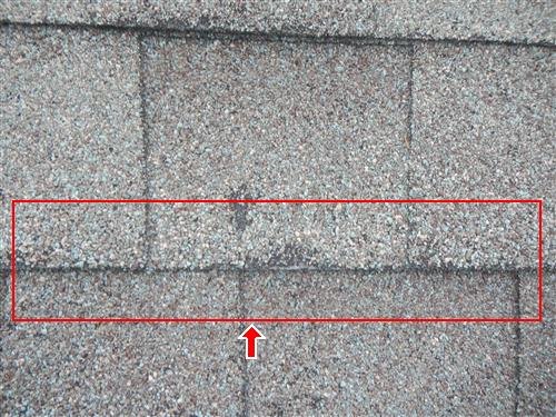 Close-up of asphalt shingles with a red box and arrow marking a band where the fiberglass backing is exposed at the shingle edges