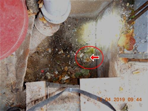 A pit in a concrete floor with piping and debris, one area circled in red.
