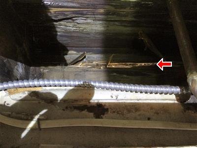 Water-damaged wood rim joist beneath a steel basement entrance door, marked by a red arrow, with an armored cable running across.